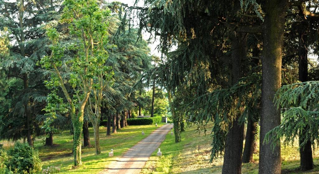 Logis De Nantas Bed and Breakfast Saint-Jean-Bonnefonds Εξωτερικό φωτογραφία